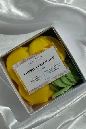 Wax Melt Fresh Lemonade 70g