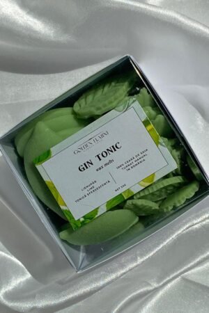 Wax Melt Gin Tonic 70g